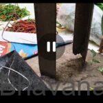ಅಥಣಿ: ಕಾಯಿಪಲ್ಲೆ ಮಾರುಕಟ್ಟೆಯಲ್ಲಿ ತುಕ್ಕು ಹಿಡಿದ ವಿದ್ಯುತ್ ಕಂಬ — ಪಾದಚಾರಿಗಳು, ಬಡ ವ್ಯಾಪಾರಿಗಳ ಜೀವಕ್ಕೆ ಕಂಟಕ!